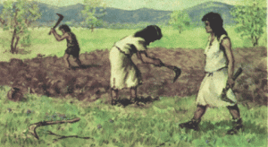 вторая группа крови земледельцы 