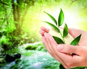 дар природы