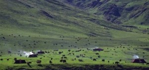 третья группа крови кочевники