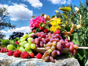 дары природы