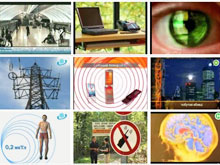 Экология для детей